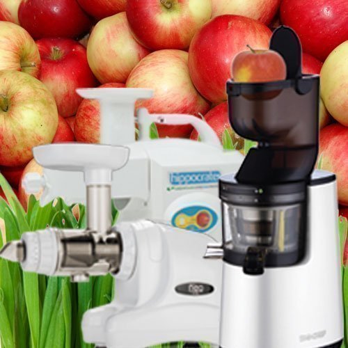 Which Juicer is Right for You?