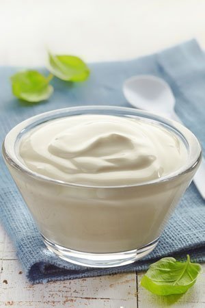 food dehydrator yoghurt recipe