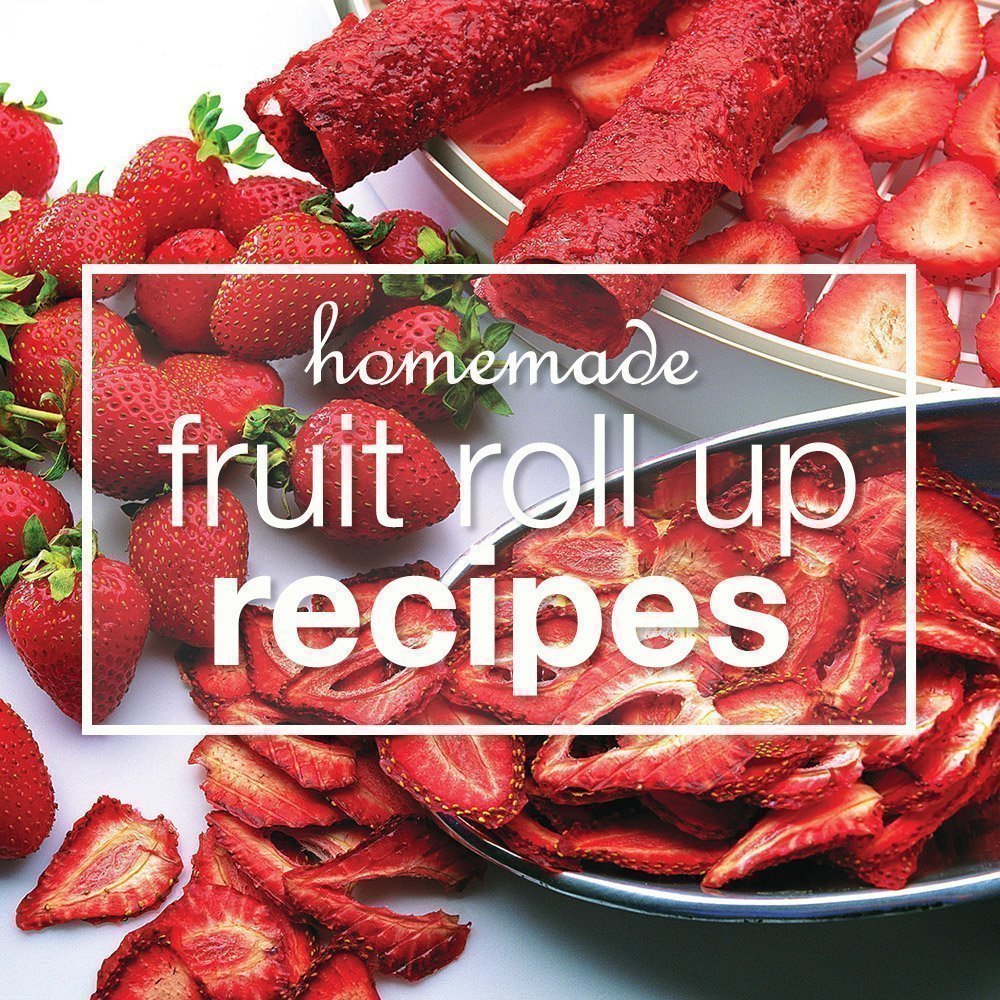 Homemade Fruit Roll Up Recipes