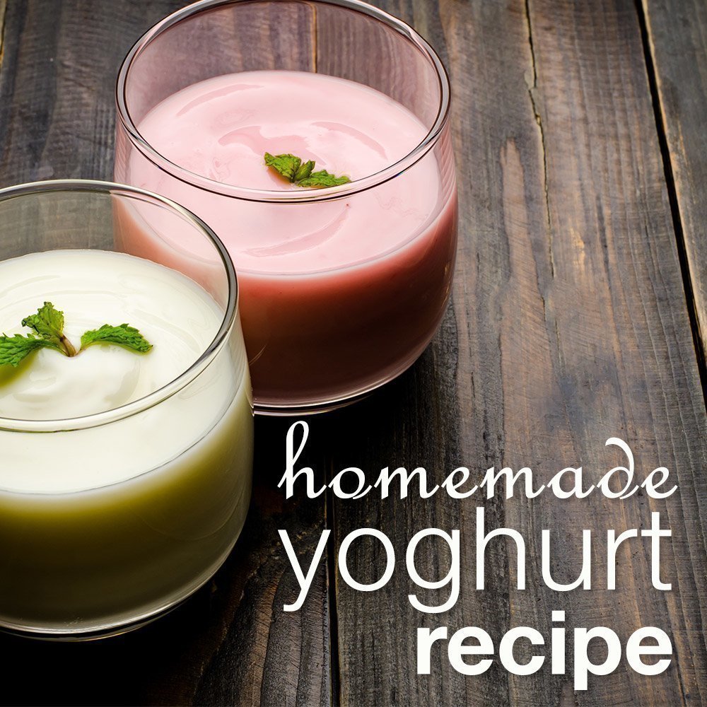 Food Dehydrator Yoghurt Recipe