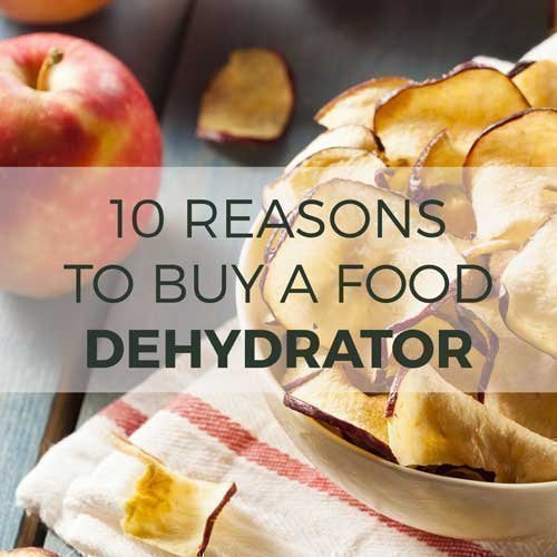 Reasons to buy a Food Dehydrator